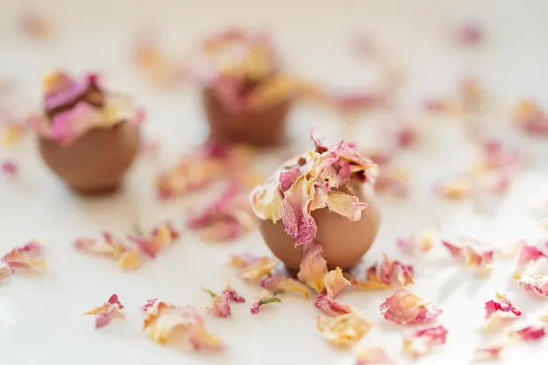 Tusk Kaszinó Android/iOS Alkalmazás